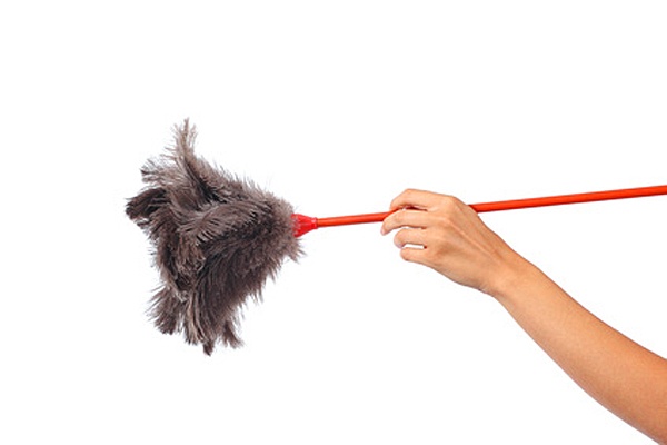 Domestic Cleaning Services